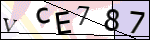 Human Confirmation Code (Captcha)