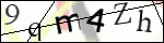 Human Confirmation Code (Captcha)