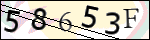 Human Confirmation Code (Captcha)