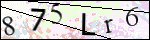 Human Confirmation Code (Captcha)