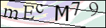 Human Confirmation Code (Captcha)