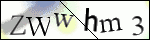 Human Confirmation Code (Captcha)