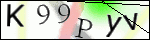 Human Confirmation Code (Captcha)