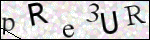 Human Confirmation Code (Captcha)