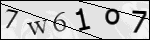 Human Confirmation Code (Captcha)