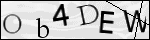 Human Confirmation Code (Captcha)