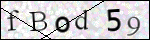 Human Confirmation Code (Captcha)