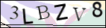 Human Confirmation Code (Captcha)