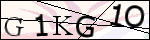 Human Confirmation Code (Captcha)