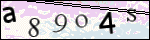 Human Confirmation Code (Captcha)