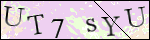 Human Confirmation Code (Captcha)