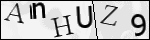 Human Confirmation Code (Captcha)