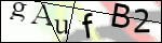 Human Confirmation Code (Captcha)