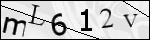 Human Confirmation Code (Captcha)