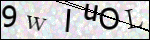 Human Confirmation Code (Captcha)