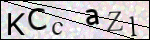 Human Confirmation Code (Captcha)