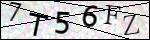 Human Confirmation Code (Captcha)