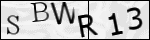 Human Confirmation Code (Captcha)