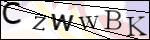 Human Confirmation Code (Captcha)