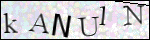 Human Confirmation Code (Captcha)