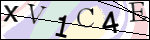 Human Confirmation Code (Captcha)