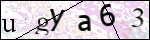 Human Confirmation Code (Captcha)
