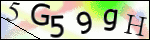 Human Confirmation Code (Captcha)