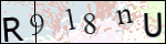 Human Confirmation Code (Captcha)