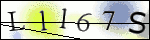 Human Confirmation Code (Captcha)