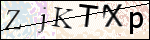 Human Confirmation Code (Captcha)