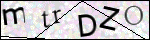 Human Confirmation Code (Captcha)