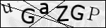 Human Confirmation Code (Captcha)