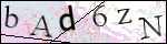 Human Confirmation Code (Captcha)