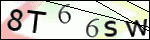Human Confirmation Code (Captcha)