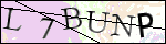 Human Confirmation Code (Captcha)