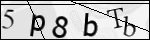 Human Confirmation Code (Captcha)