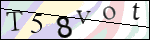 Human Confirmation Code (Captcha)