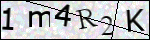 Human Confirmation Code (Captcha)