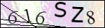 Human Confirmation Code (Captcha)