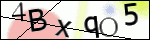 Human Confirmation Code (Captcha)