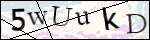 Human Confirmation Code (Captcha)