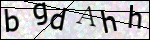Human Confirmation Code (Captcha)