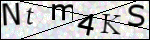 Human Confirmation Code (Captcha)