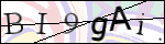Human Confirmation Code (Captcha)