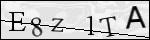 Human Confirmation Code (Captcha)