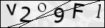 Human Confirmation Code (Captcha)