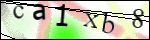 Human Confirmation Code (Captcha)