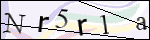 Human Confirmation Code (Captcha)