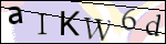 Human Confirmation Code (Captcha)
