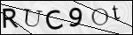 Human Confirmation Code (Captcha)